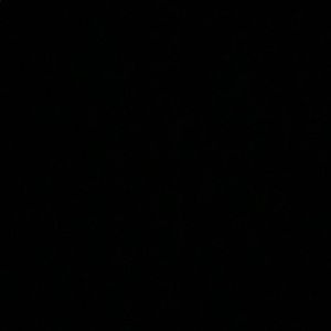 Meet your Posher, Xiomara